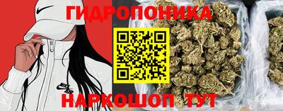 тгк Кунгур